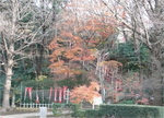 L1000021-5.jpg